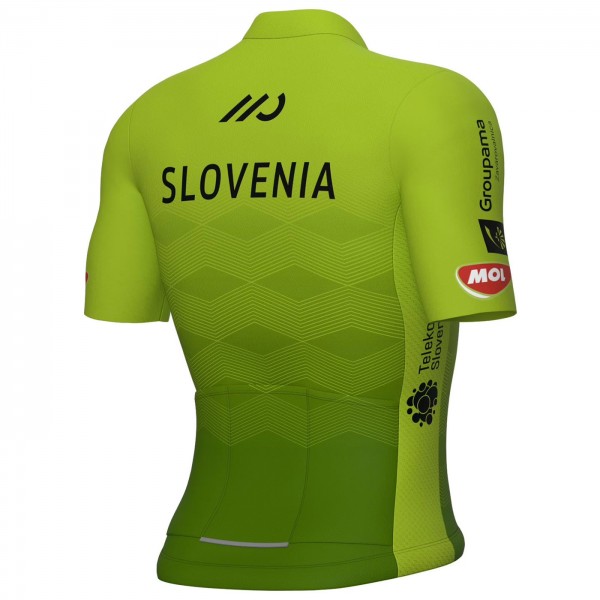 Heren Fietskleding, Ale Frans Elftal 2024 jersey