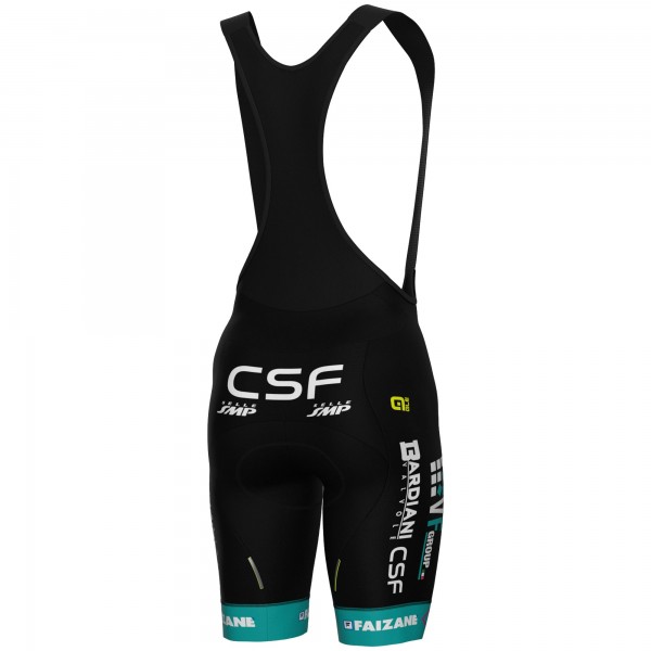 Heren Ale VF Group-Bardiani CSF-Faizane 2025 koersbroek