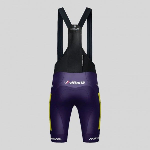 Heren Fietskleding Gobik Wilier Vittoria 2025 Absolute Print K10 Bib Tights