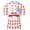 Polka Dot UAE Emirates Tour De France 2021 Wielerkleding Fietsshirt Korte Mouw 2021072957