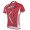 2014 Fox Bike Team Fietsshirt Korte mouw rood 993