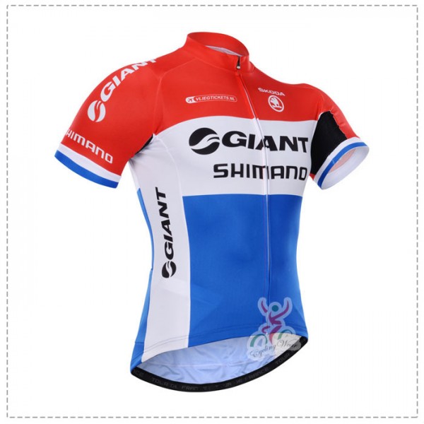 2015 Giant Shimano Fietskleding Fietsshirt Korte 1762