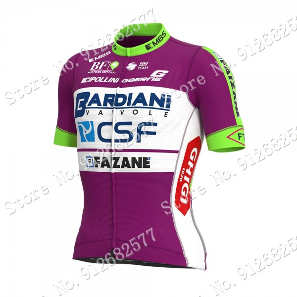 Team bardiani csf 2022 Wielerkleding Fietsshirt Korte Mouw 2022030622