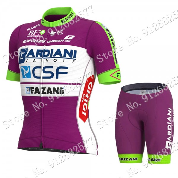 Team bardiani csf 2022 Fietskleding Fietsshirt Korte Mouw+Korte Fietsbroeken 2022030626