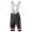 2017 Sunweb Pro Cobalt Korte Fietsbroeken Bib 201717648