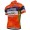 2017 Vini Fantini Team Fietskleding Fietsshirt Korte 20177014