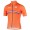 DUTCH NATIONAL TEAM Fietsshirt Korte Mouw 201717268